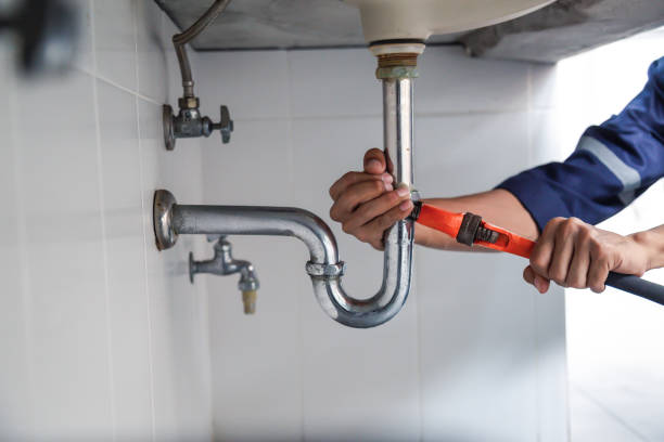 Best Plumbing Inspection Services  in Red Lake Falls, MN